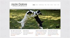Desktop Screenshot of jacksgalore.org